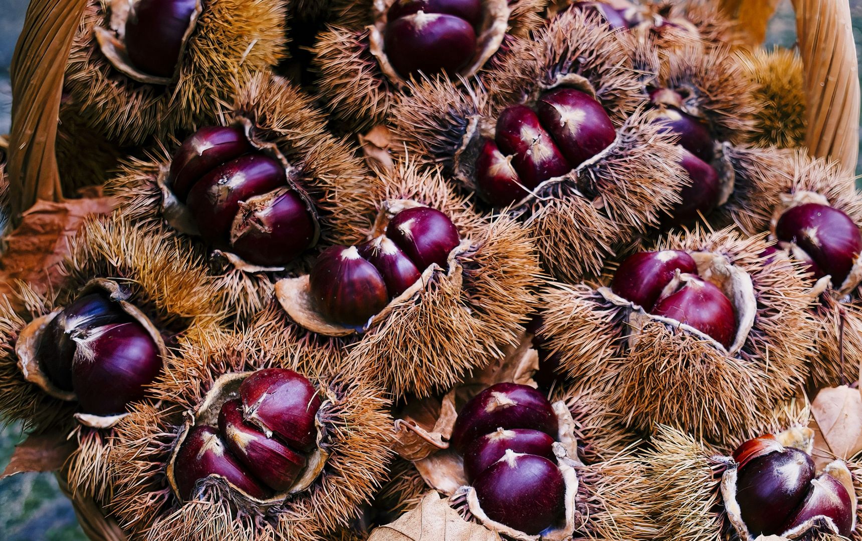 Castagne