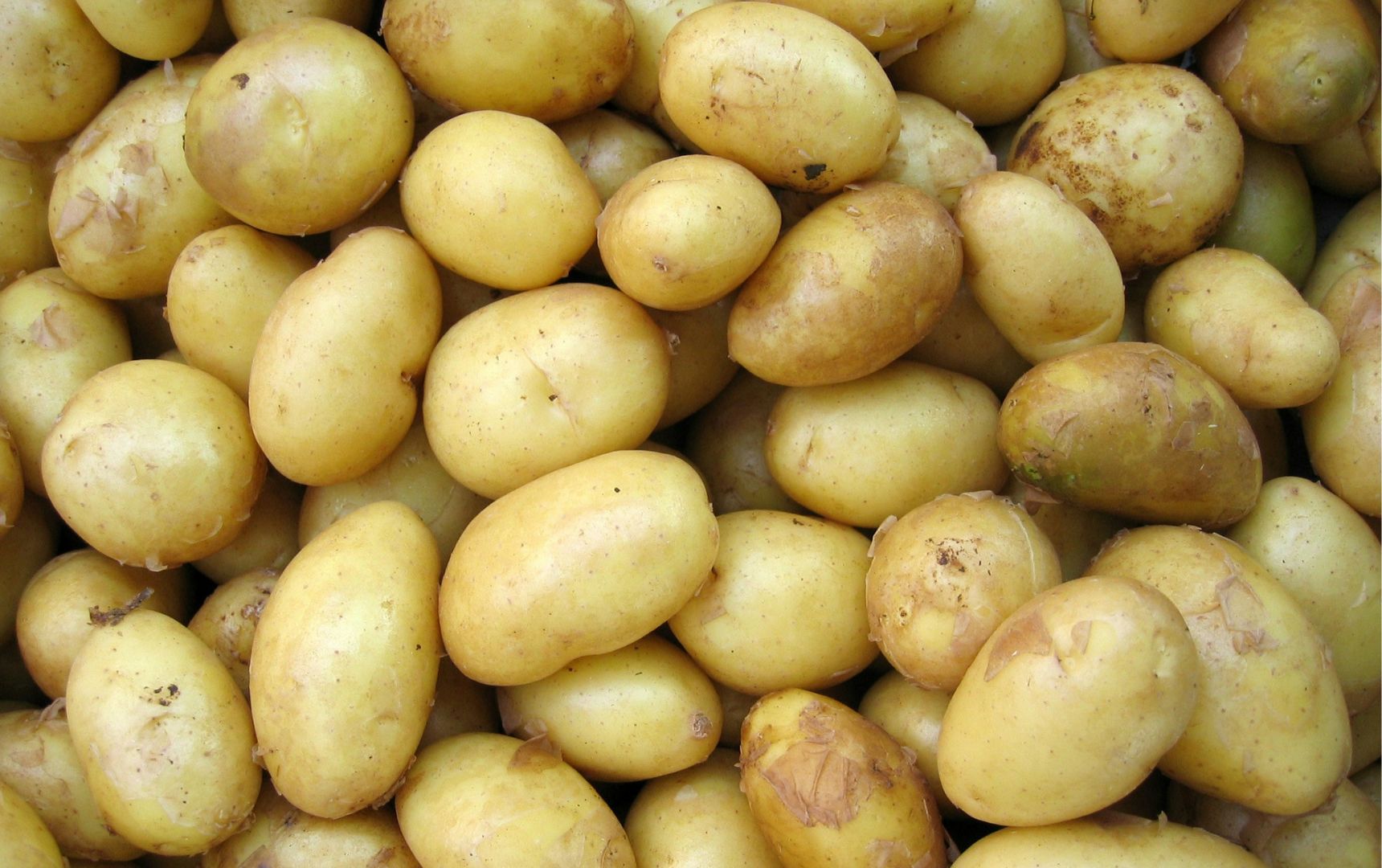 Patate